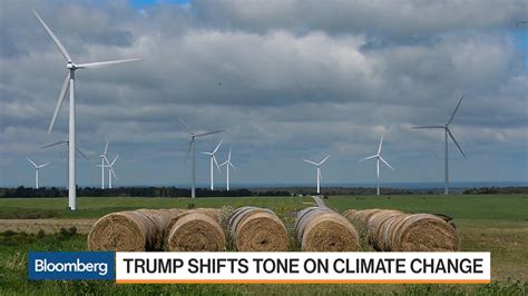 Governors Urge Trump To Support Wind And Solar Power Bloomberg