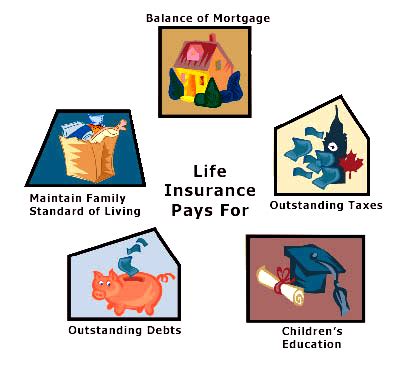 Lower your insurance costs with cheap rates from carriers in california. Insurance world: Different Types of Life Insurance Policies