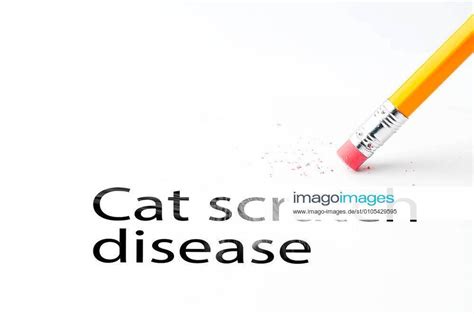 Cat Scratch Disease Photos Imago