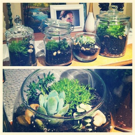 Setting up your diy succulent terrarium. {Oh, So Darling}: DIY: Moss & Mini Succulent Terrarium