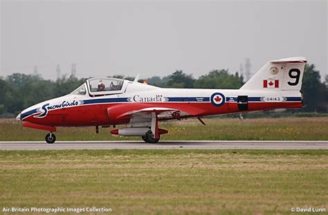 Canadair Ct 114 Tutor 114143 1143 Canadian Armed Forces Abpic