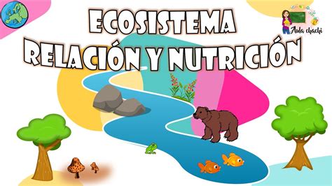 Ecosistema Relaci N Y Nutrici N Aula Chachi V Deos Educativos