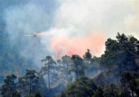 Two Killed As Forest Fire Rages In Cyprus Emtv Online