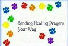 Heavenly father, please help us in our time of need, you have made us stewards of (name of pet). 28 **Dogs: Prayers For Loss** ideas | dogs, dog quotes ...