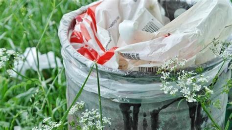 C Mo Podemos Reciclar La Basura En El Hogar