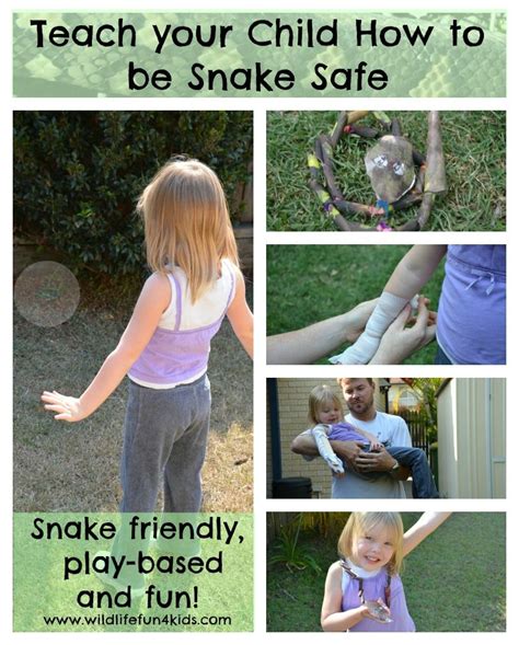 Teach Your Child To Be Snake Safe Wildlife Fun 4 Kids