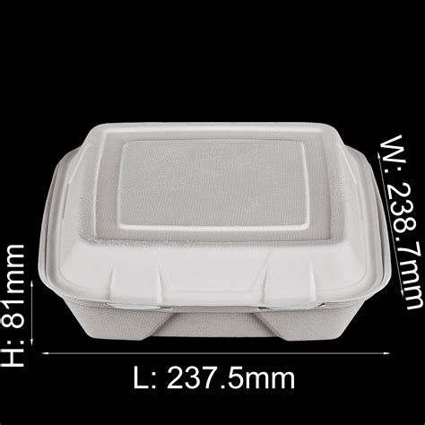 China 9 X 9 Wholesale Biodegradable Disposable Takeaway Takeout