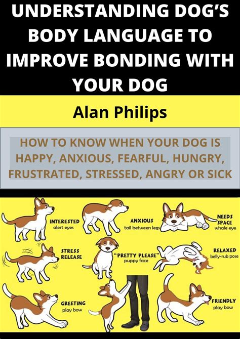 Understanding Dogs Body Language To Improve Bonding With Your Dog How