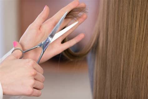 290 Scissor Over Comb Stock Photos Pictures And Royalty Free Images