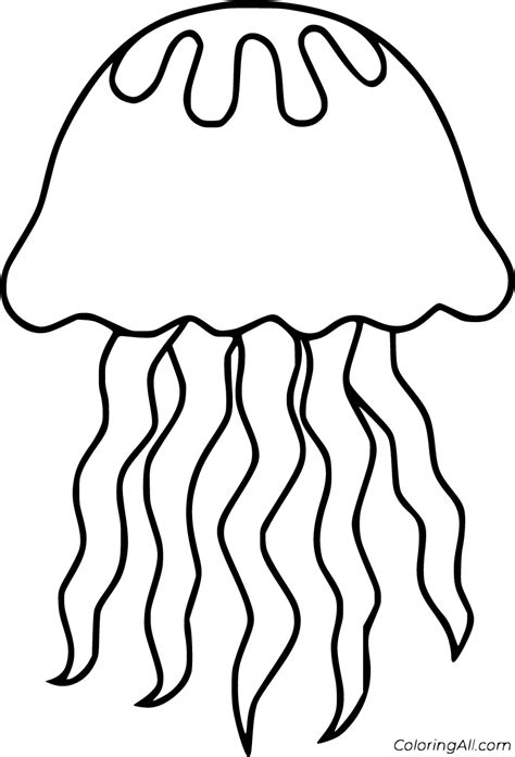Easy Jellyfish Coloring Page - Findworksheets