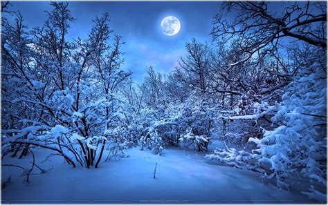 Winter Nights Full Moon Hd Wallpaper