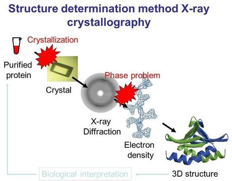 X Ray Crystallography Protein Structure