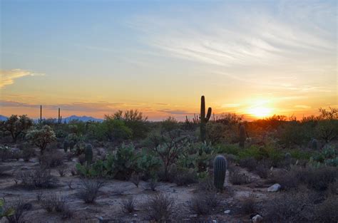 Desert Sunsets - Arizona's Gift to Its Inhabitants