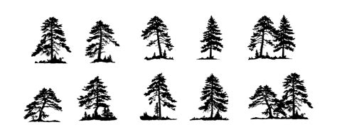Premium Vector Set Of Trees Silhouette Vector Isolated On White