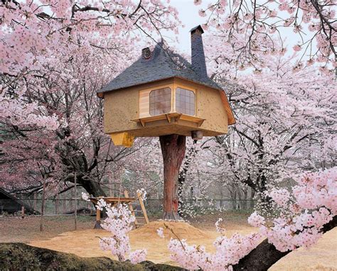 11 Most Amazing Tree Houses Around The World Free Spirit Sphere