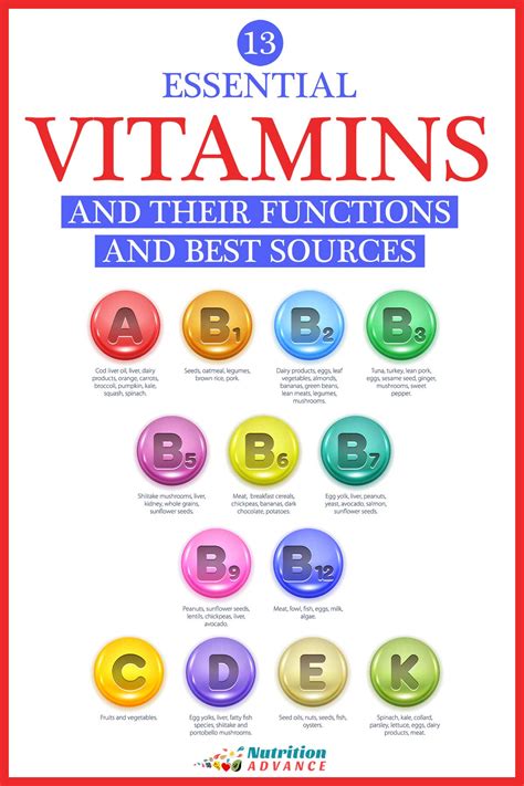Essential Vitamins Multi Daily Essential Vitamins Alfa Vitamins Store