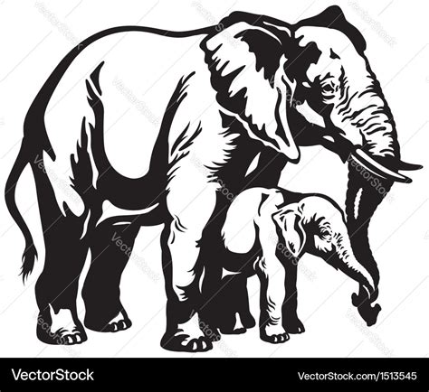 Elephant With Baby Black White Royalty Free Vector Image