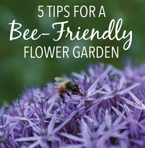 5 Tips For A More Bee Friendly Flower Garden Longfield Gardens