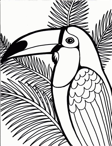 Coloring Pages Photo Bird Colouring Pages Images Bird