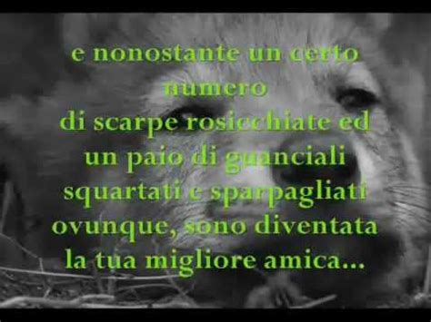 Vai in palestra 4 volte a settimana, non mangi dopo le 18:00 e segui una dieta a basso contenuto di carboidrati, ma non. Lettera di un cane al suo padrone - YouTube