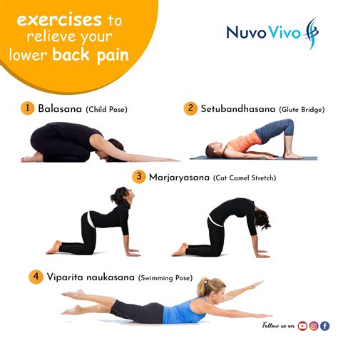 EXERCISES TO RELIEVE YOUR BACK PAIN Lower Back Pain Exercises Back