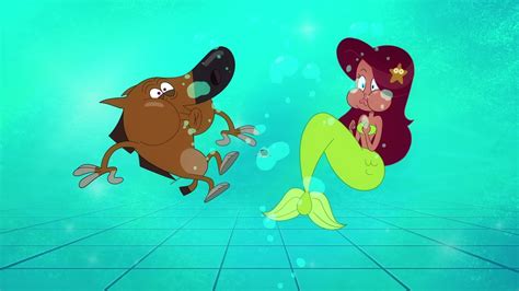 Zig And Sharko 🌊 Water Experience 🌊 2021 Compilation 🎭 Cartoons For