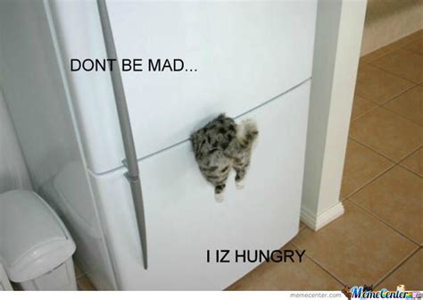 Hungry Cat Is Hungry By 11pinkypie Meme Center