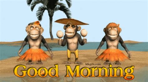 Hilarious Good Morning  Funny Images Hd Downloads 2024 Mk
