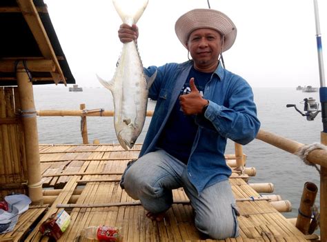 Di indonesia sendiri ikan menjadi santapan paling disukai dan sangat mudah untuk dijumpai. Jual Leader Rangkaian Pancing Laut Jadi STRIKE isi 4 Untuk ...