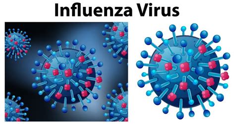 Covid19 Vs Influenza With Knowledge By Corporate Care