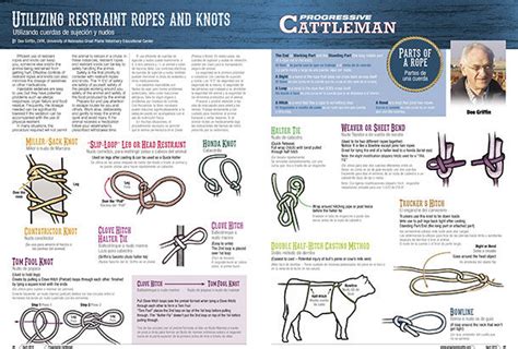 utilizing restraint ropes and knots progressive cattle ag proud