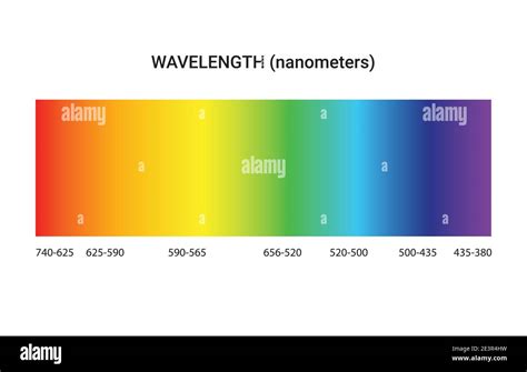Visible Spectrum Color Electromagnetic Spectrum Vector Image My Xxx