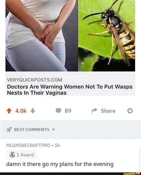 Veryquickposts Doctors Are Warning Women Not To Put Wasps It There Their Vaginas Go For The