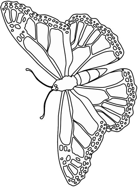 Butterfly coloring pages are created both for toddlers who are just starting to explore the world around them, and for older children with many small details. Butterfly Coloring Pages 91 260168 High Definition ...