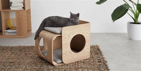 20 Best Luxury Cat Beds You Can Buy Online In 2023 Katzenbett