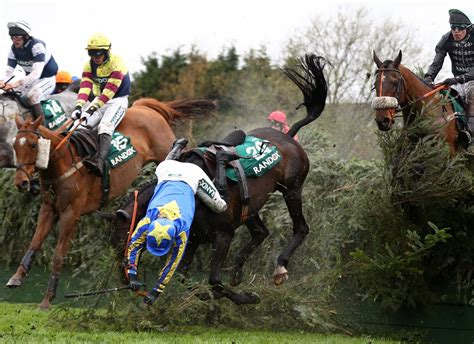 Jump Racing Kills Should Horses Risk Their Lives For Our Entertainment
