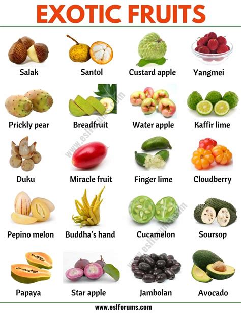 Exotic Fruits List Of 45 Exotic Fruits From All Around The World