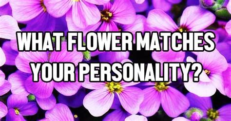 Check spelling or type a new query. What Flower Matches Your Personality? | QuizLady