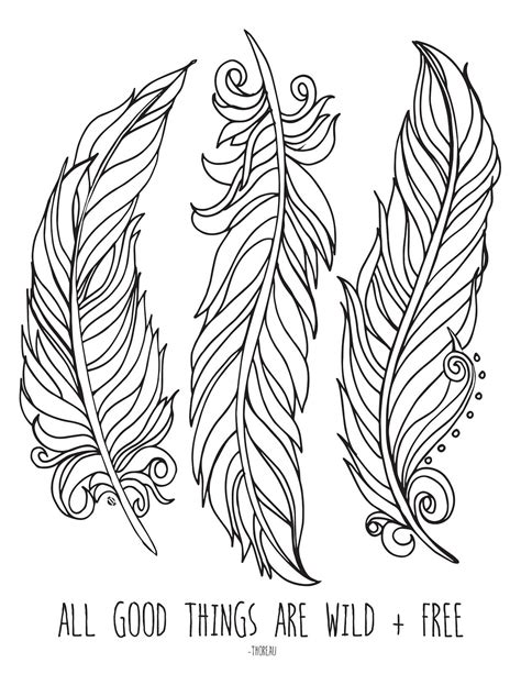 Free Printable Feather Coloring Pages Coloring Pages Ideas