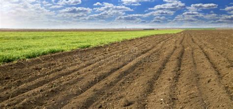 Arable Land To The Horizon Stock Photo Image Of Outdoors 62918126