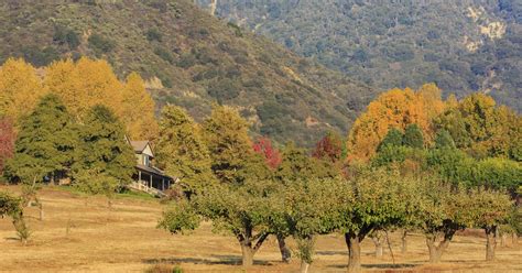 Where To Find Fall Colors Near Los Angeles Curbed La