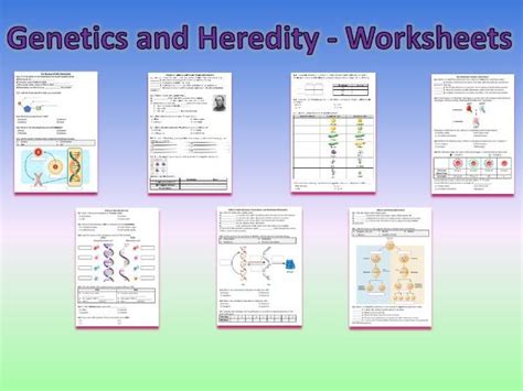 Genetics And Heredity Worksheets Printable And Distance Learning