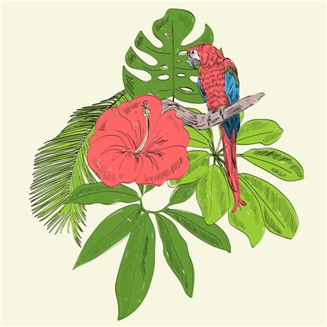 premium vector tropical vector illustration