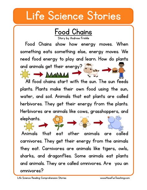 Reading Comprehension Worksheet Food Chains