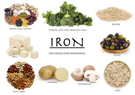 Iron Foods List