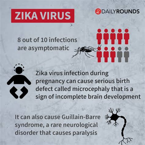 Zika Virus Heres All You Need To Know About The Vector Borne Disease