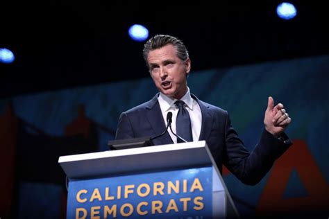 Gavin Newsom Approval Rating For 2024 Presidential Election World Wire