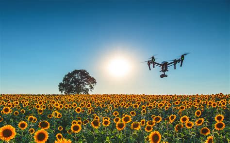 The Future Of Drones In Photography Film And Video Production The