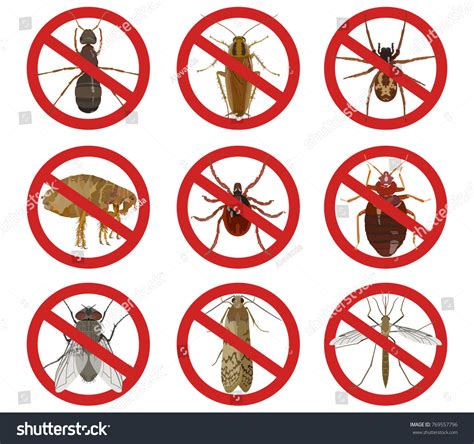 Lutte Contre Les Insectes Nuisibles Algora Environnement Devis
