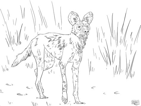 Realistic African Animal Coloring Page Coloring Home
